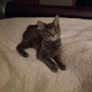 Meet your Posher, Lizette